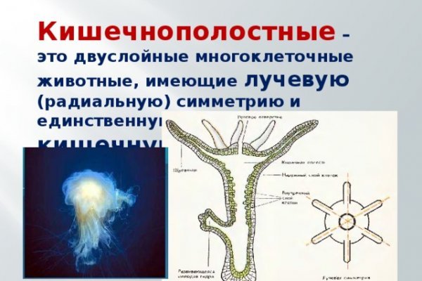 Kraken зеркало рабочее market